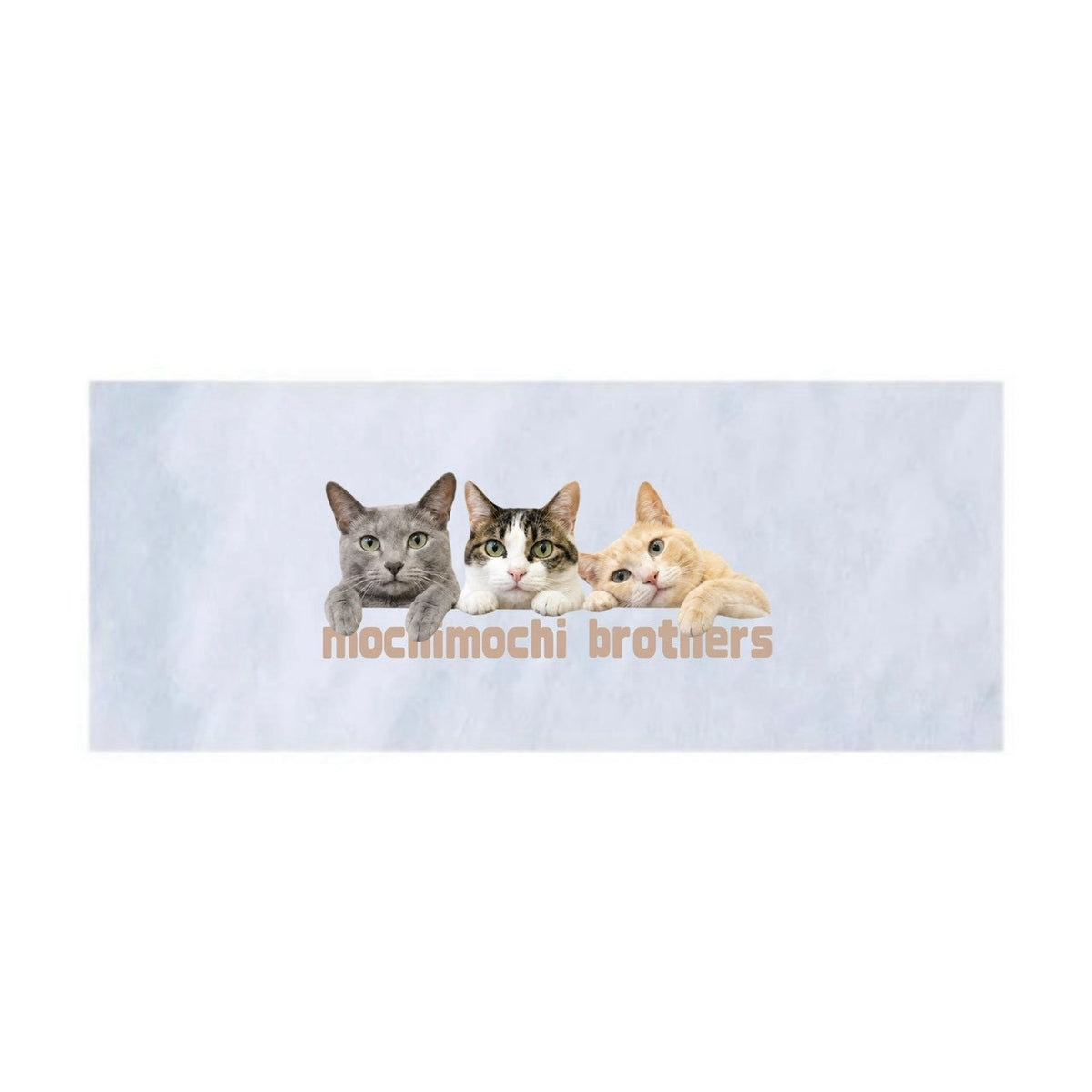 第二弾mochimochi brothers フェイスタオル