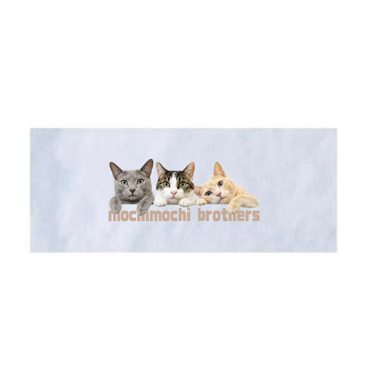 第二弾mochimochi brothers フェイスタオル